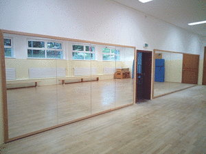 Wall-Mounted Gym Mirrors